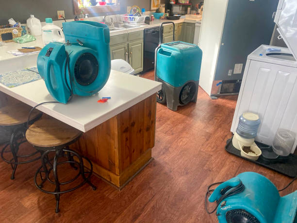 Best Professional water damage repair  in Satellite Beach, FL