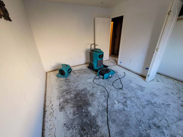 Best Flood damage cleanup  in Satellite Beach, FL