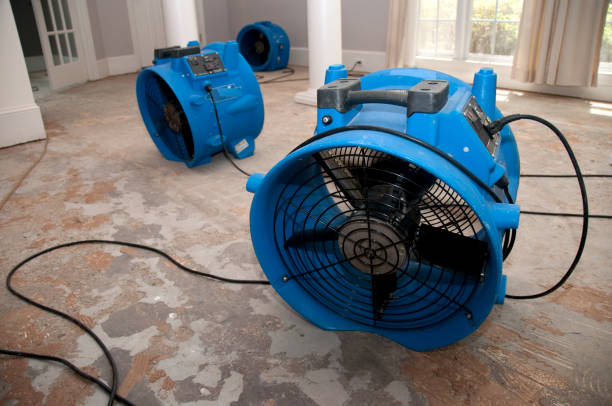 Trusted Satellite Beach, FL Water damage restoration Experts