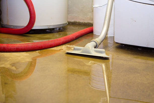 Best Local water damage restoration  in Satellite Beach, FL