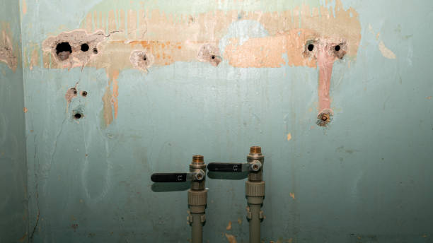 Best Sewage cleanup and water damage restoration  in Satellite Beach, FL