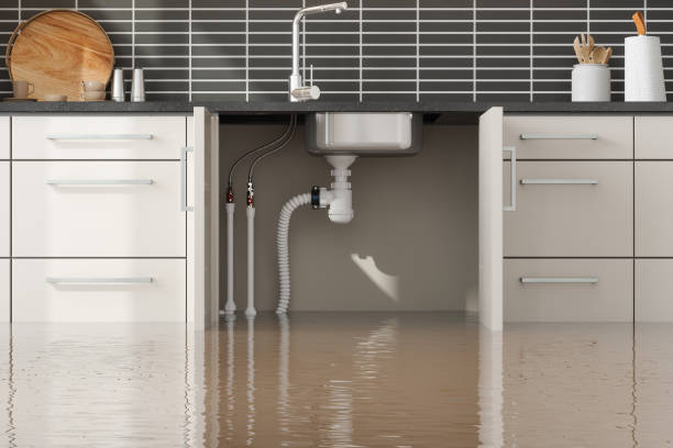 Best Professional water damage repair  in Satellite Beach, FL