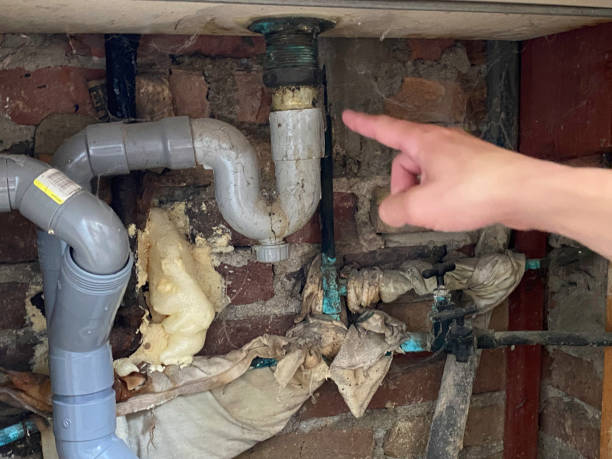 Best Ceiling water damage repair  in Satellite Beach, FL